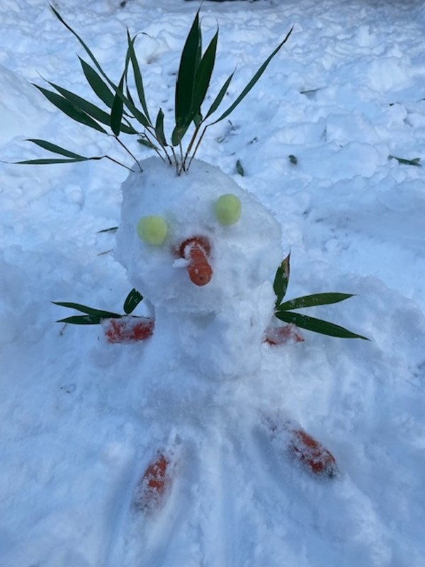 Bild3.jpg